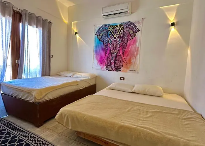 Daire Vip House
