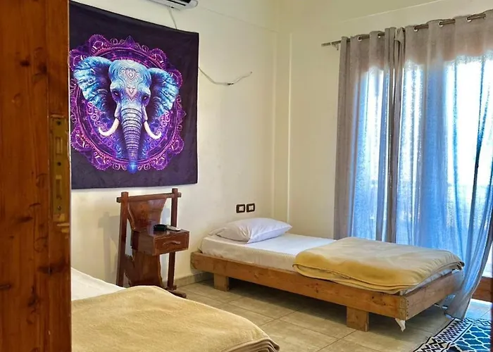 Daire Vip House *